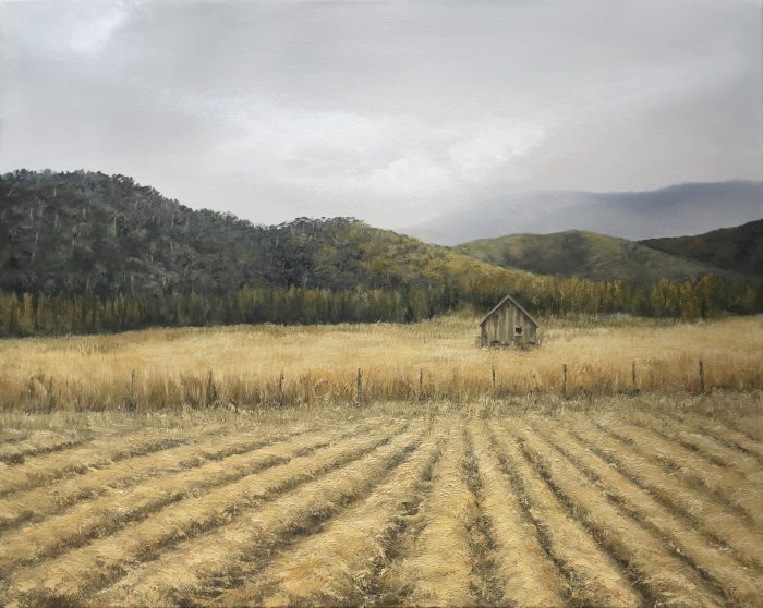 ploughed field with distant hills and small shed under soft grey sky rural landscape painting