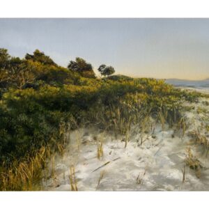 Good morning Sawtell Giclee print