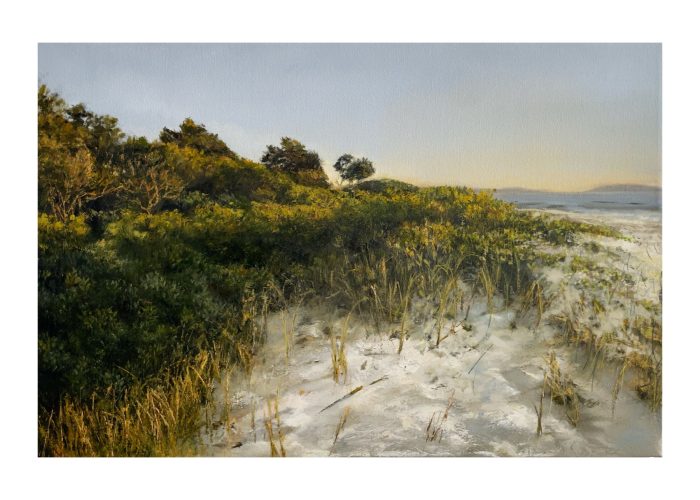Coastal oil painting of sand dunes and native grasses in soft morning light by the shoreline at Sawtell