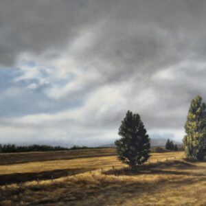 Lost in the land of the Long White Cloud