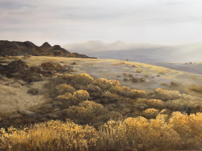 Golden coastal landscape with soft grasses and rocky outcrops under a hazy sky, fine art print