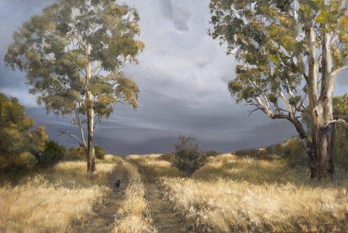 Australian landscape giclee print with gum trees and golden grass under a moody sky