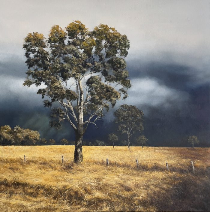 Giclee print of a lone gum tree in golden fields under a moody sky in an Australian landscape