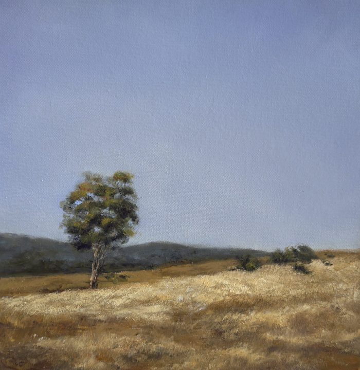 High and Dry is an original Australian landscape painting featuring a solitary tree in a golden field. Atmospheric, contemporary wall art.