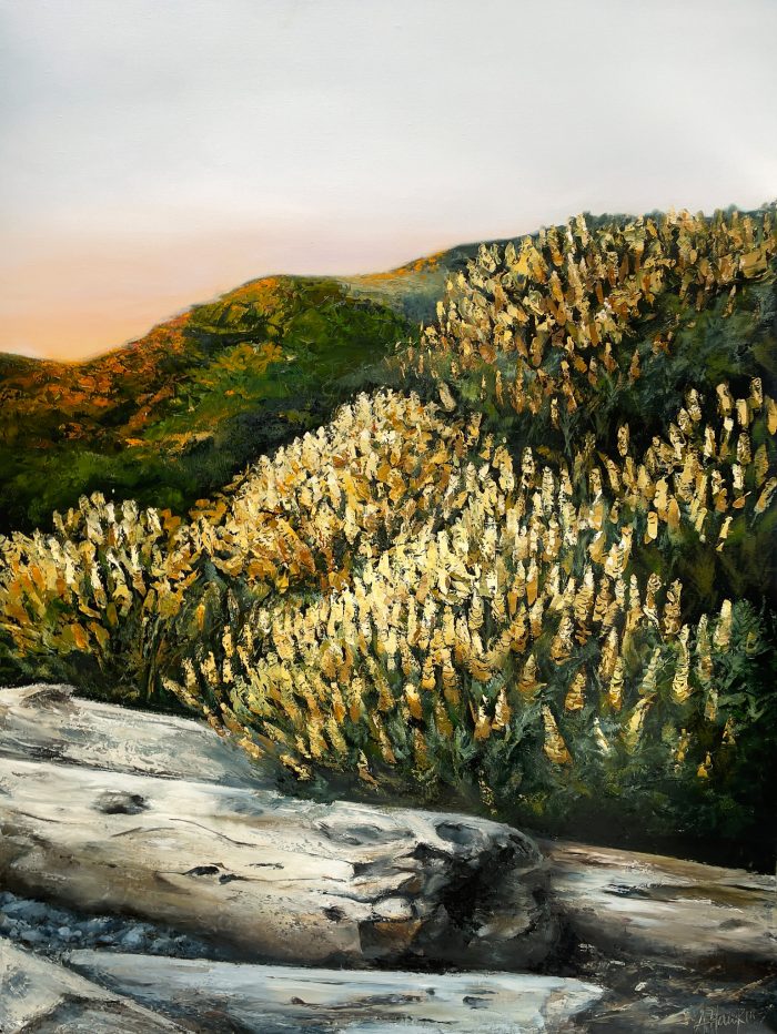 Archival print The Long Way Home by Annie Hawkins featuring flowering banksias, coastal bushland and soft evening light in an Australian landscape.