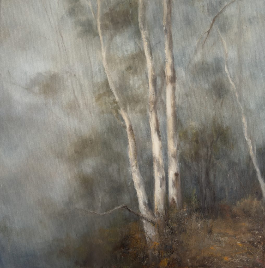Oil painting by Annie Hawkins of pale gum trees emerging through grey morning mist above a textured earthy forest floor.